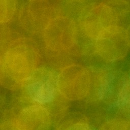 Bokeh-396